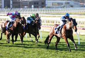 Moonlover dominates at Mornington Moonlover dominates at Mornington
